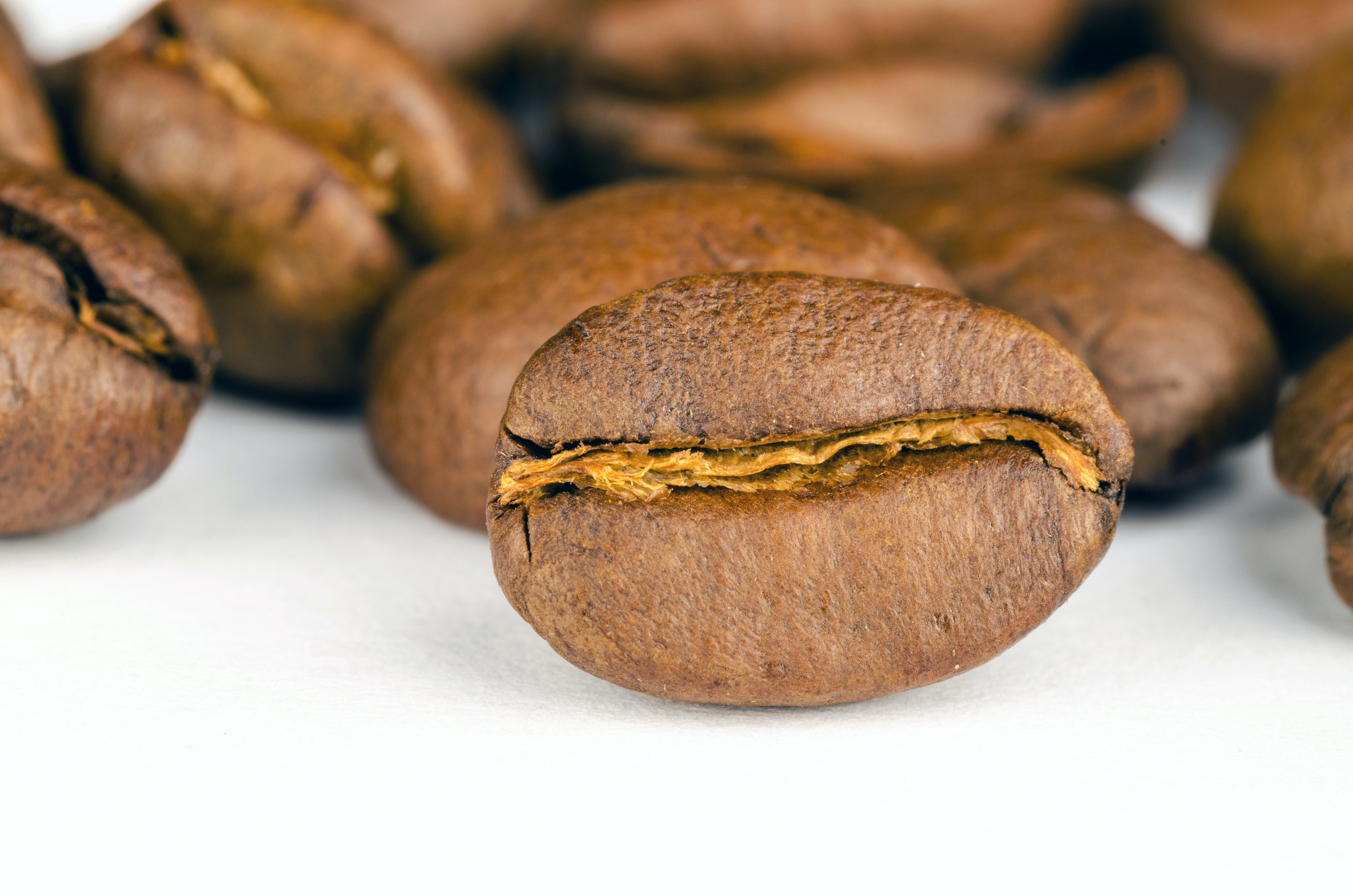 Ratgeber: Woran erkennt man guten Kaffee? Guten Kaffee kaufen - Emma Spezialitätenkaffee