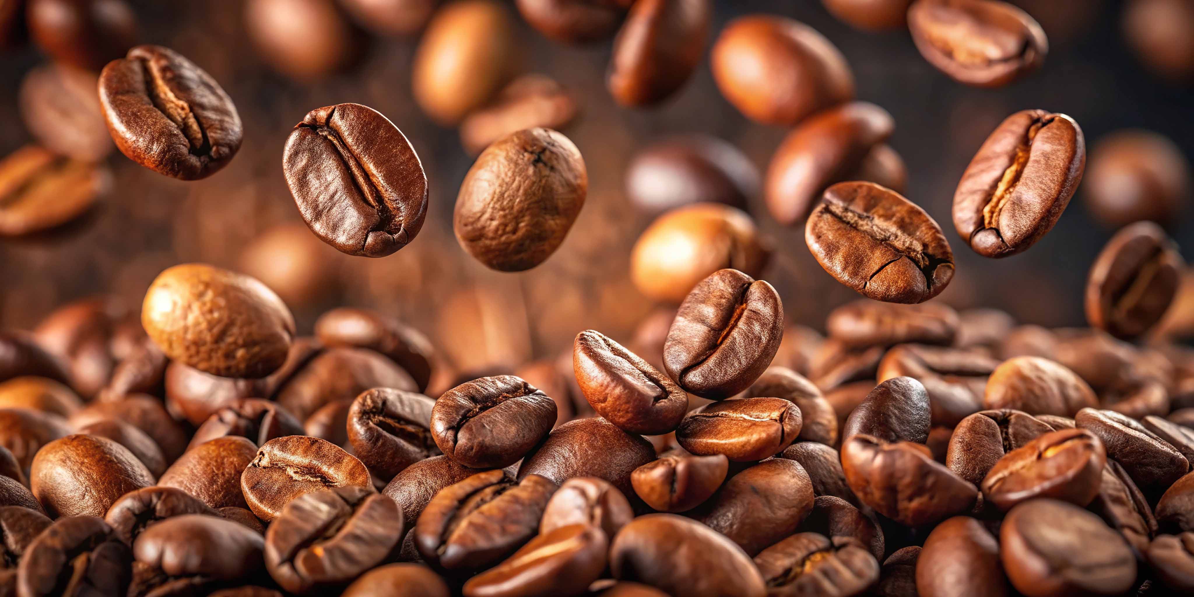 Probiersets - Spezialitätenkaffee zum Verlieben | Emma Spezialitätenkaffee