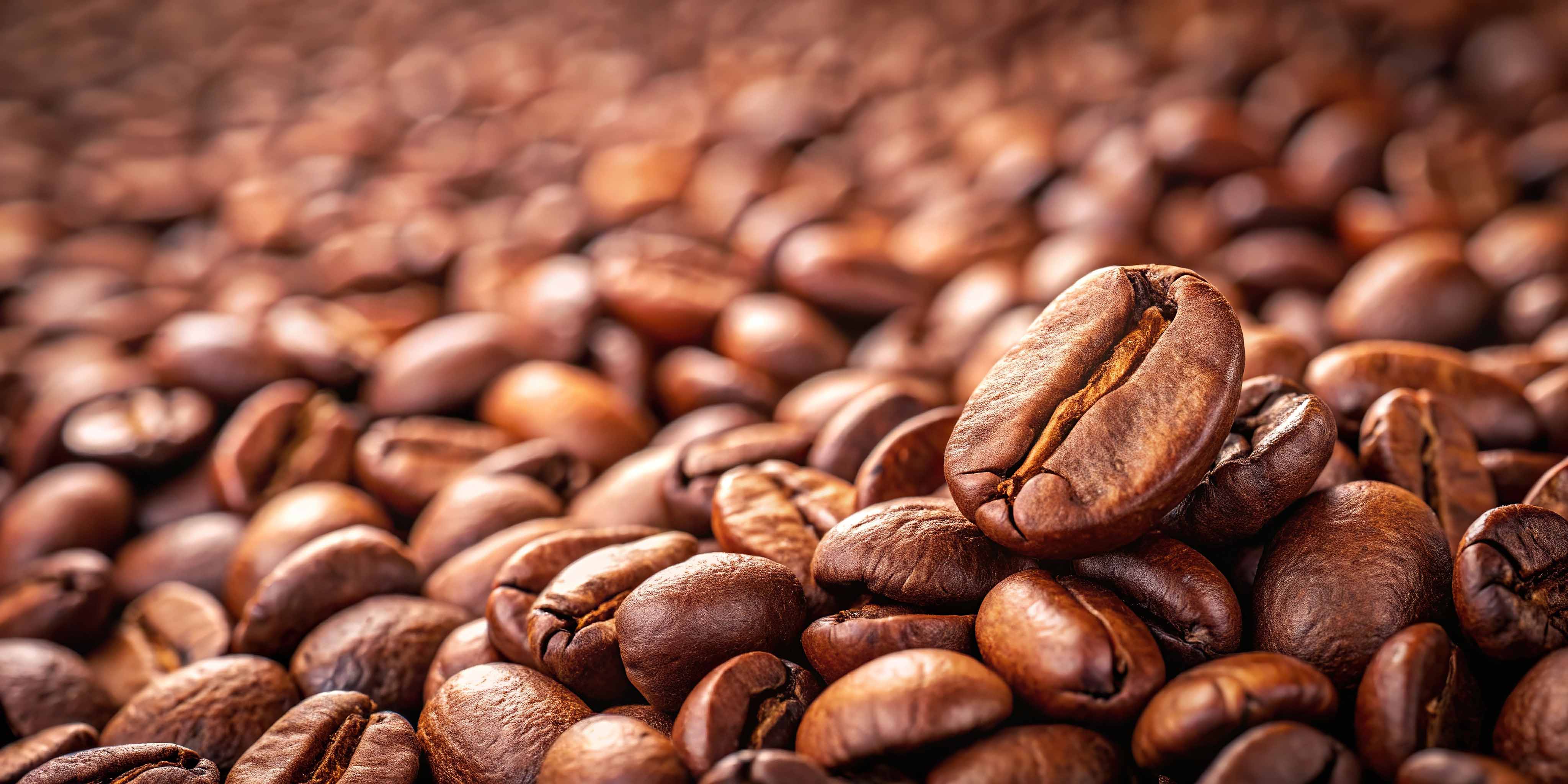 Unser Kaffee - feinste Bohnen aus den besten Anbaugebieten | Emma Spezialitätenkaffee