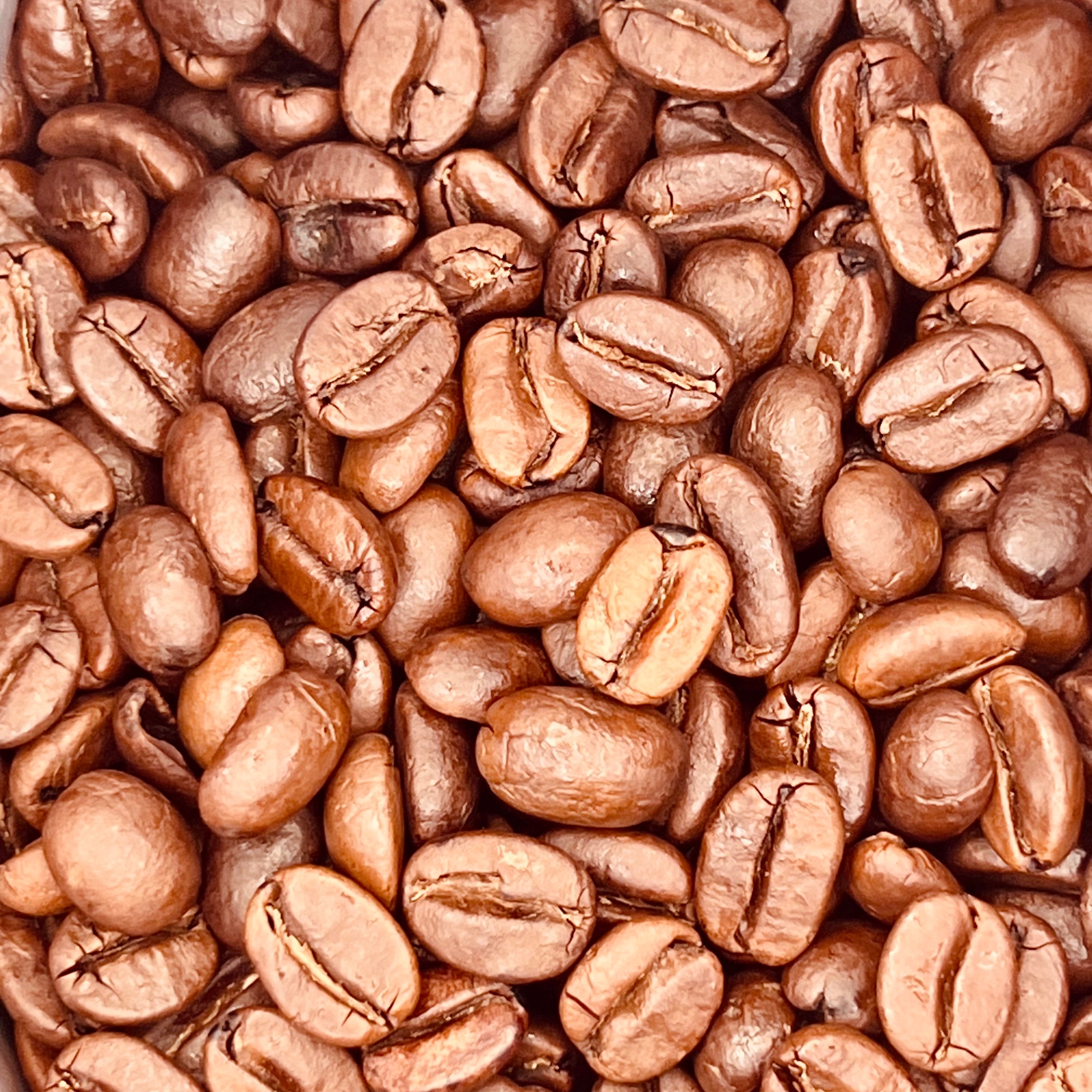 Indien Monsooned Malabar AA - Kaffee - Emma Spezialitätenkaffee