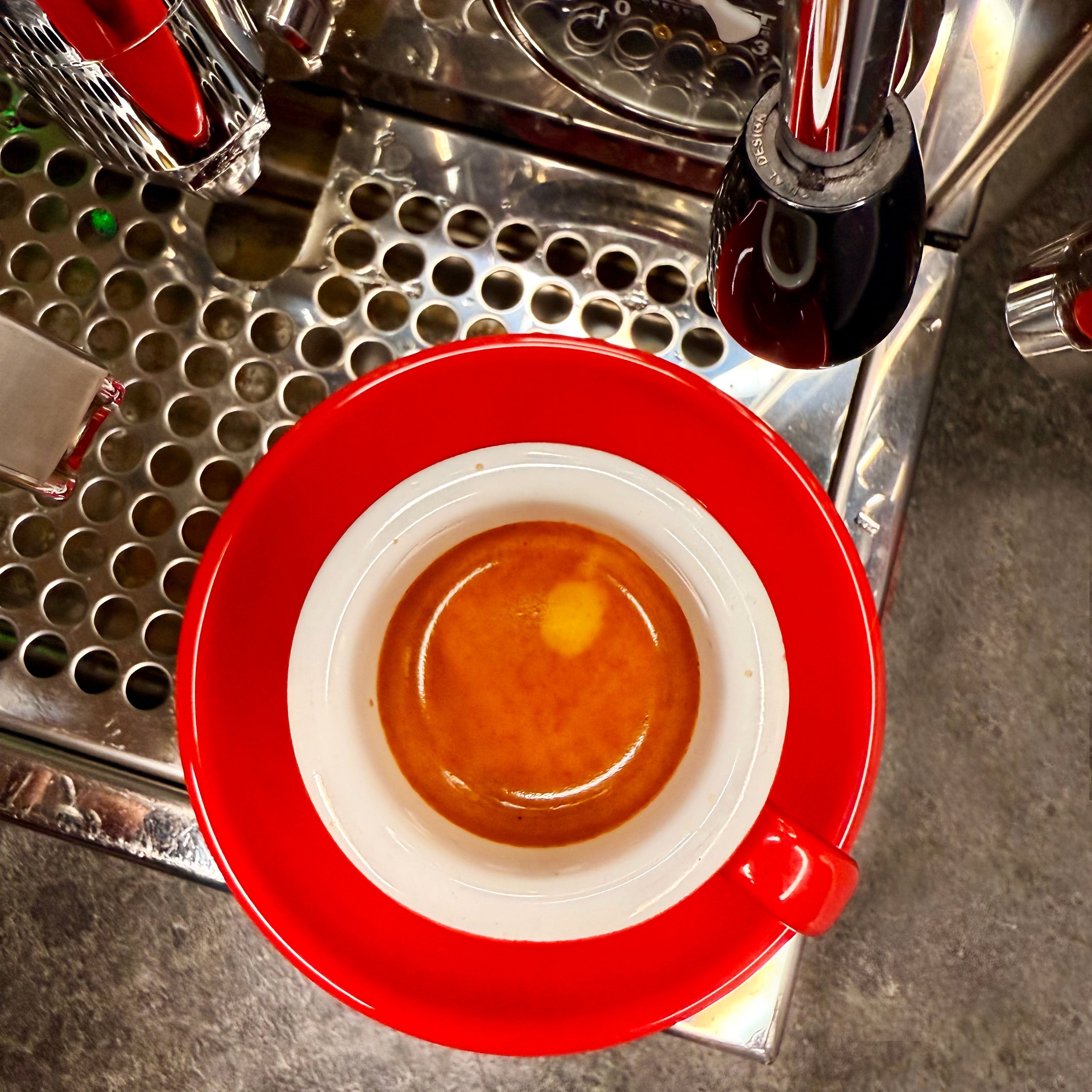 Kraftprotz - Espresso - Emma Spezialitätenkaffee