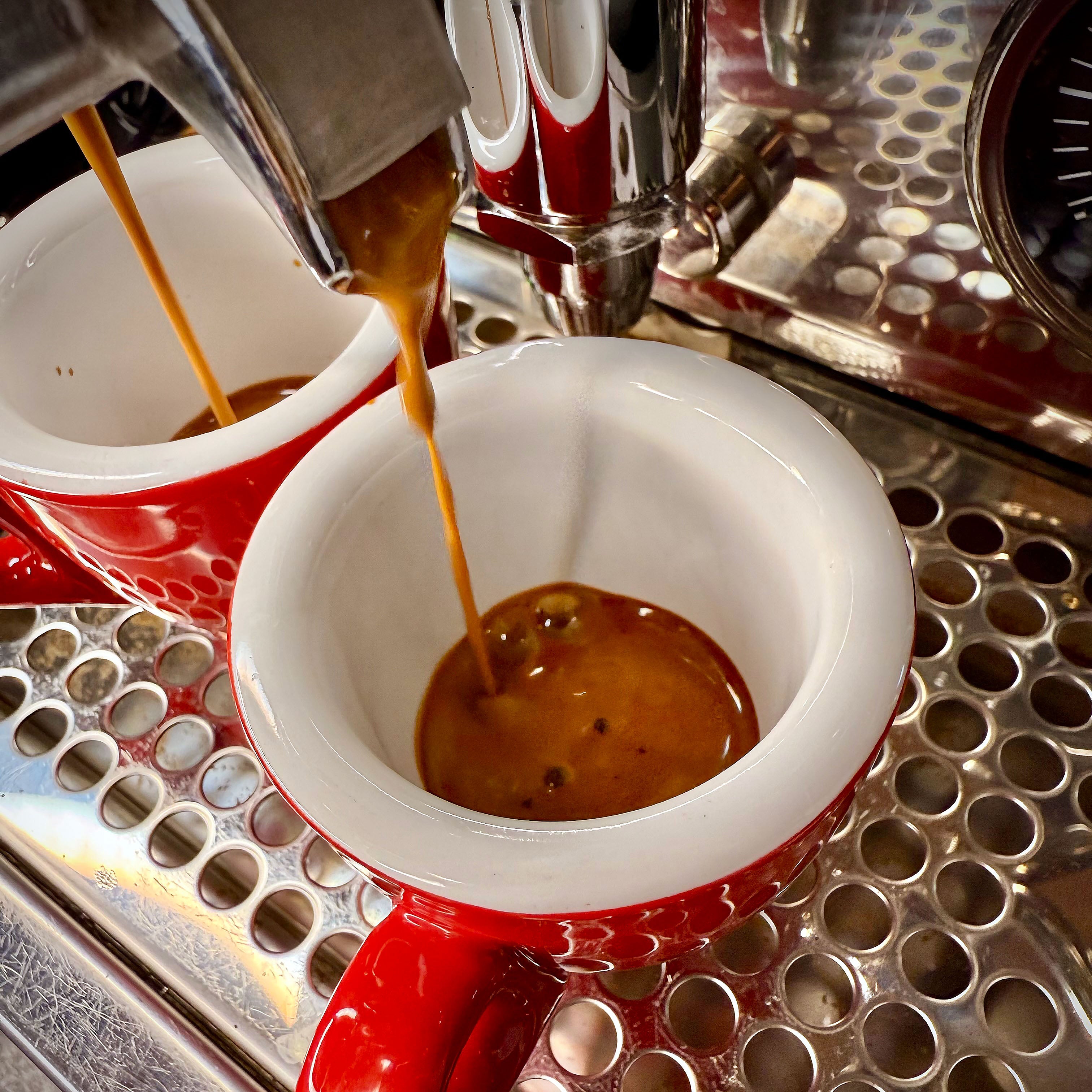 Kraftprotz - Espresso - Emma Spezialitätenkaffee