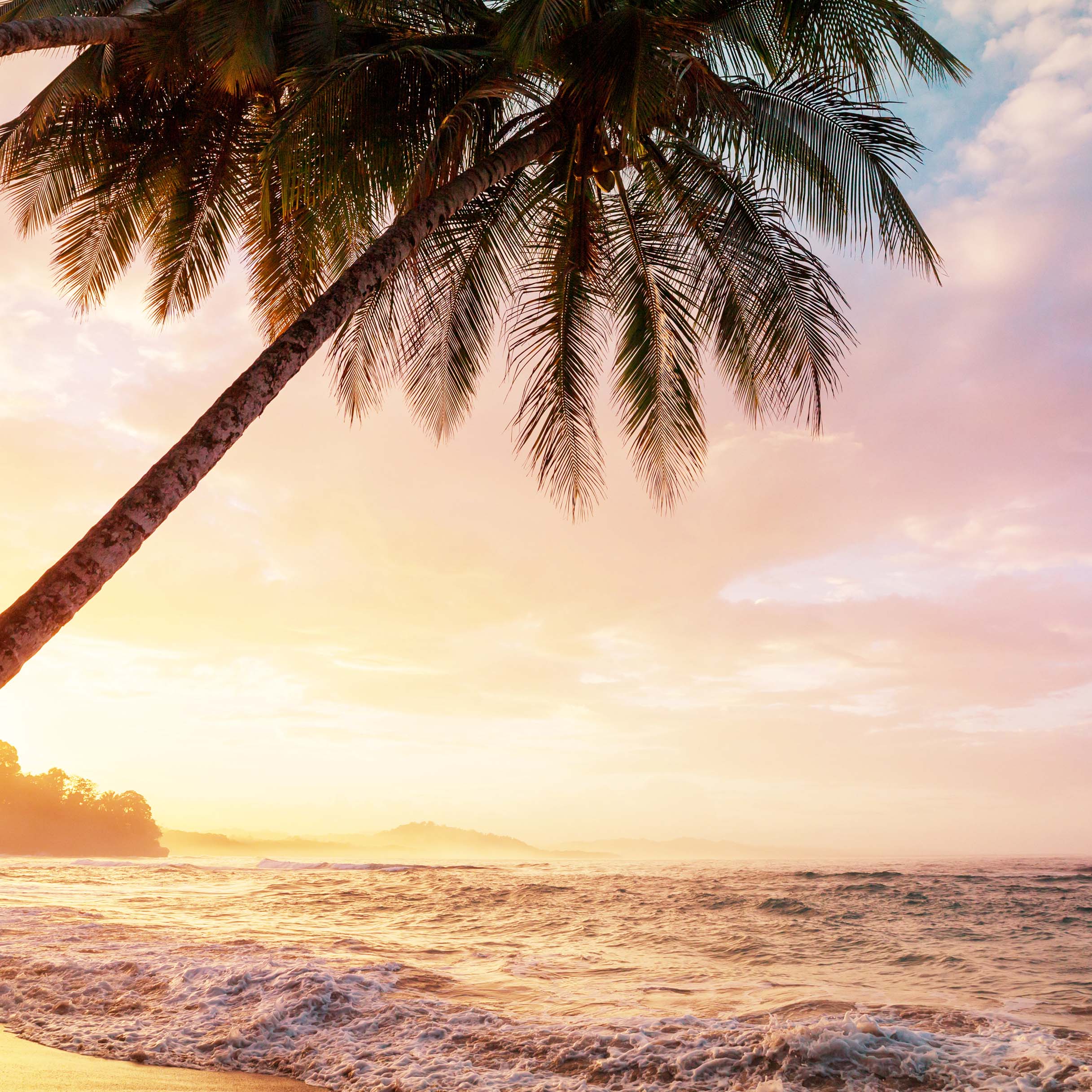 Costa Rica Tarrazú San Rafael - Kaffee - Emma Spezialitätenkaffee