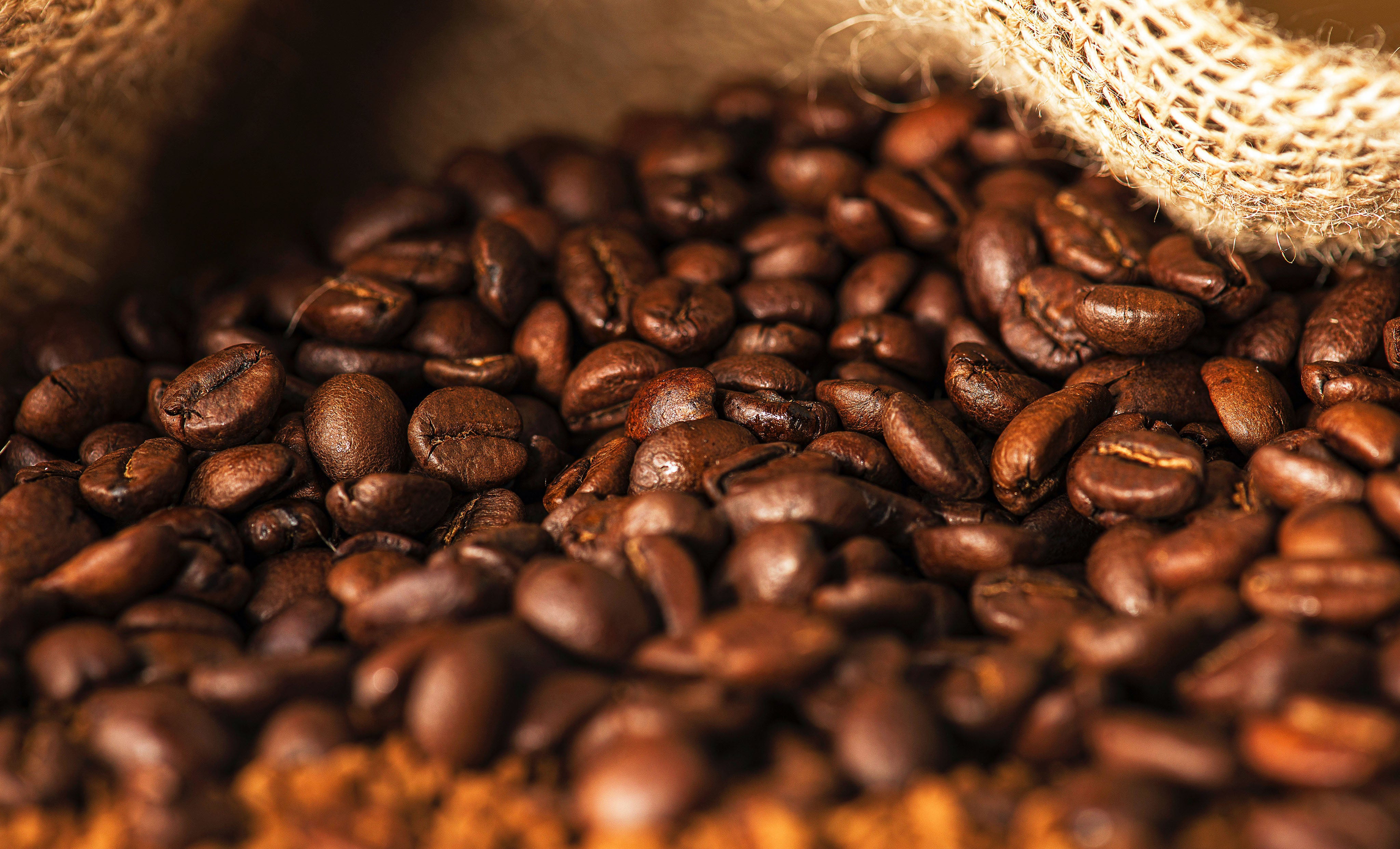 Unser Kaffee - feinste Bohnen aus den besten Anbaugebieten | Emma Spezialitätenkaffee
